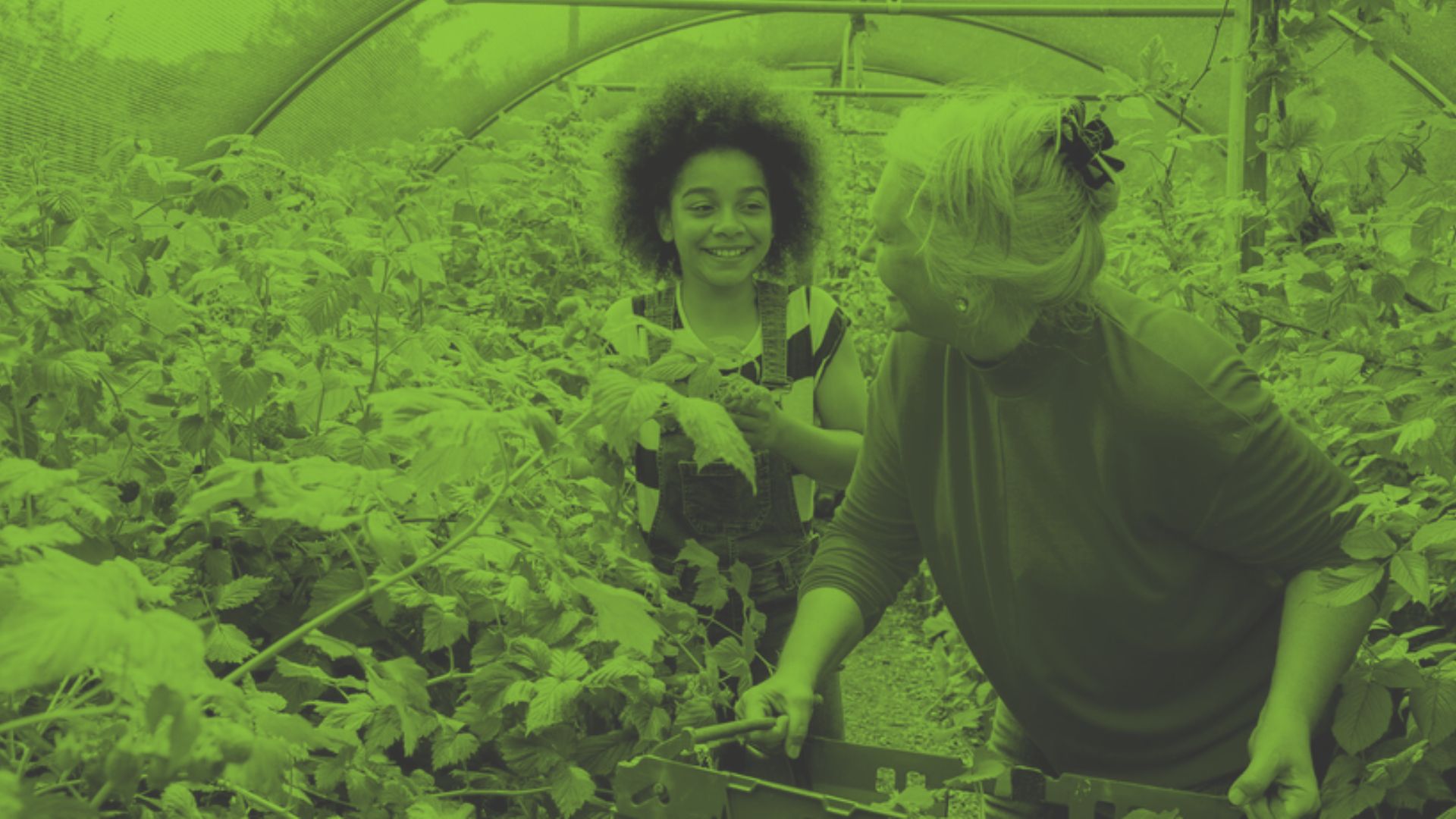 An image of a younger and older person in a greenhouse