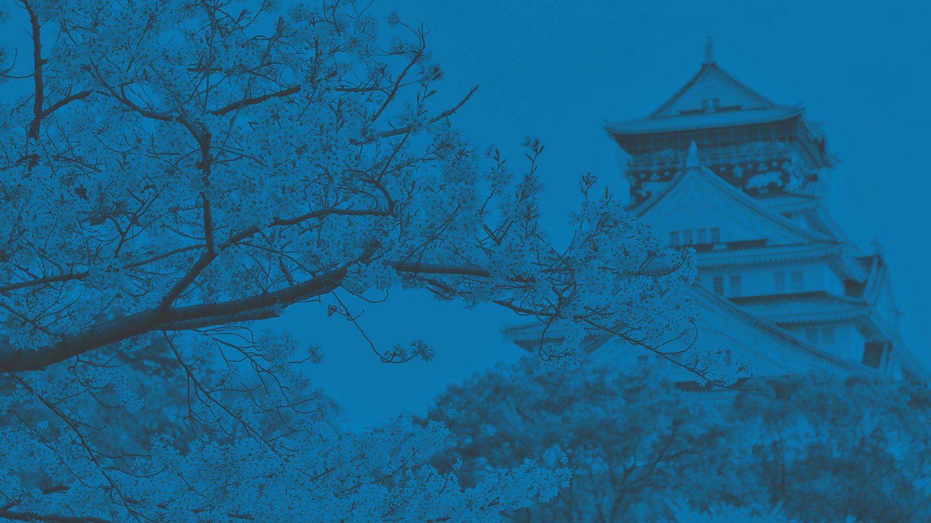 A photograph of Japanese architecture and cherry blossom - Opportunities for young people at Oval Learning schools to get funding to promote UK Japanese cultural exchange